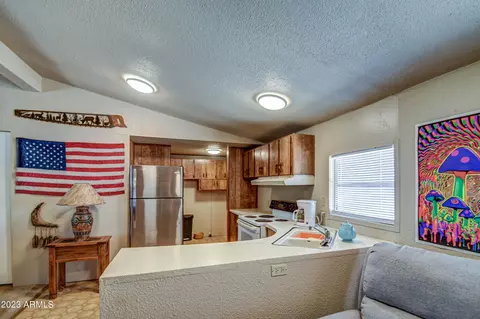 1975 W Frontier St, Apache Junction, AZ 85120 photo 25