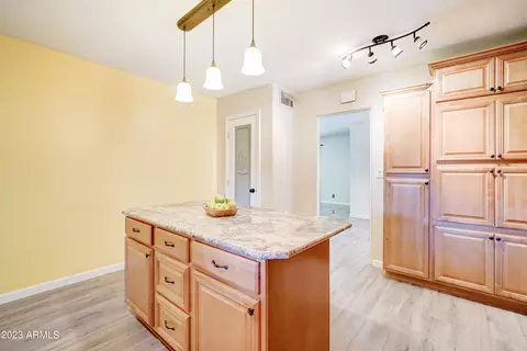 461 E Millett Ave, Mesa, AZ 85204 photo 13