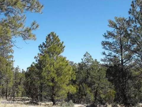 4435 Twin Oaks Loop #61, Happy Jack, AZ 86024