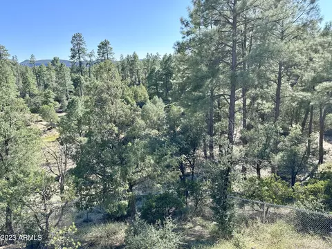 273 E Highline Dr, Payson, AZ 85541 photo 100