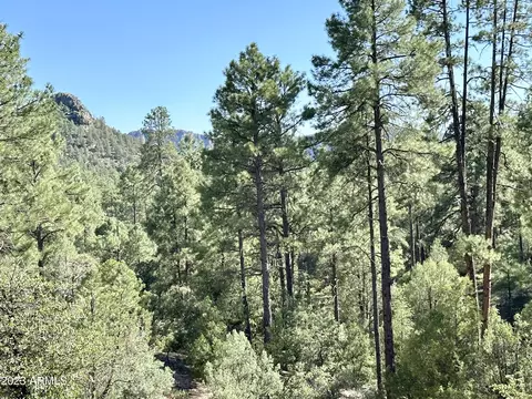273 E Highline Dr, Payson, AZ 85541 photo 97