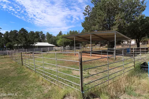 4017 N Cindy Way, Pine, AZ 85544 photo 38