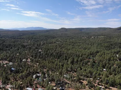 4017 N Cindy Way, Pine, AZ 85544 photo 56