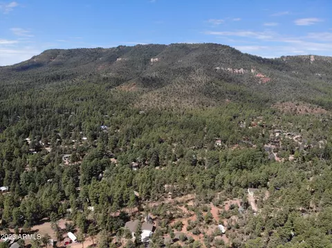 4017 N Cindy Way, Pine, AZ 85544 photo 57