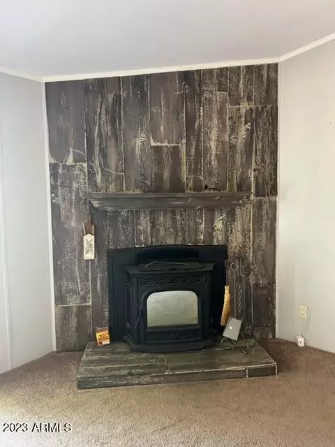 4017 N Cindy Way, Pine, AZ 85544 photo 20
