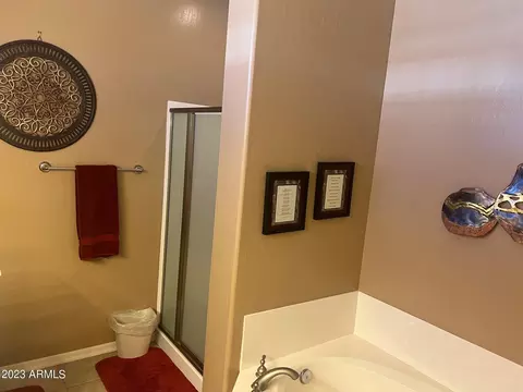 5734 E Leonora St, Mesa, AZ 85215 photo 19