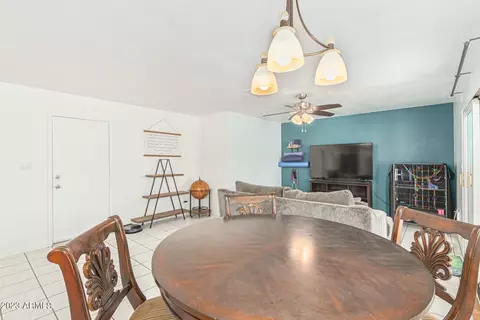 854 E Huber St, Mesa, AZ 85203 photo 19