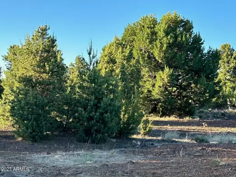 lot24 Mountain Pine Rnch #24, Vernon, AZ 85940