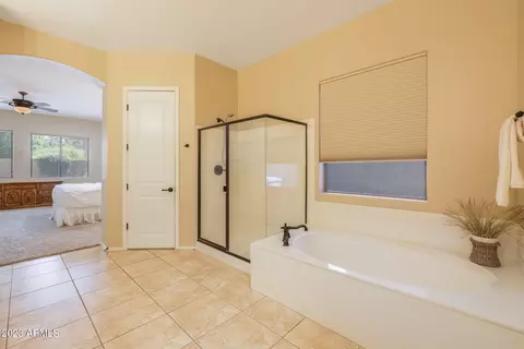 Bath - 11251 E Spaulding Ave, Mesa, AZ 85212 photo 3 of 5