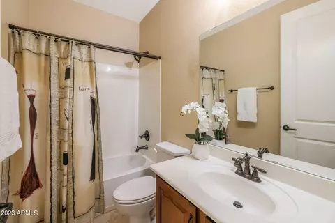 Bath - 11251 E Spaulding Ave, Mesa, AZ 85212 photo 4 of 5