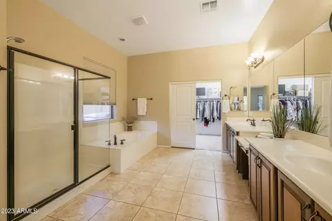 Bath - 11251 E Spaulding Ave, Mesa, AZ 85212 photo 1 of 5