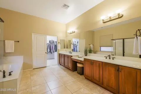 Bath - 11251 E Spaulding Ave, Mesa, AZ 85212 photo 2 of 5