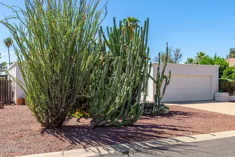 7207 Edgewood Ave, Mesa, AZ 85208 photo 6