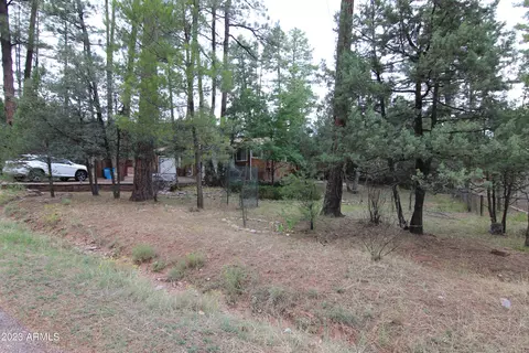 6404 W Jan Dr, Pine, AZ 85544 photo 3