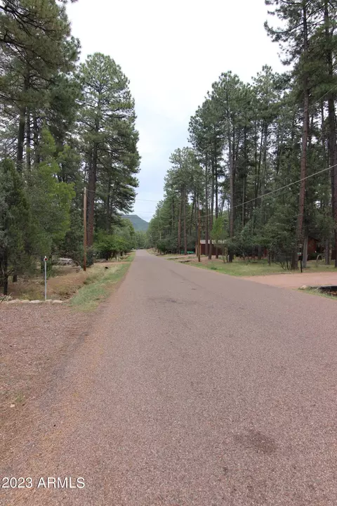 6404 W Jan Dr, Pine, AZ 85544 photo 28