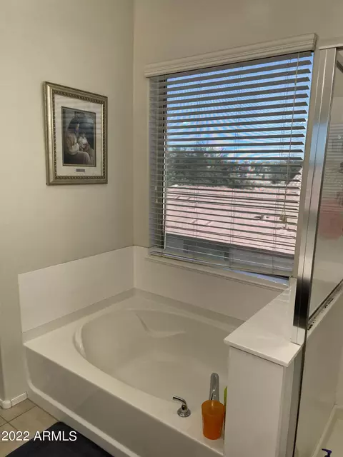 2976 E Meadowview Dr, Gilbert, AZ 85298 photo 45
