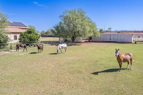 2124 E Oasis St, Mesa, AZ 85213 photo 25
