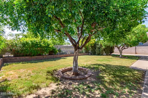 201 W Ruth Ave, Phoenix, AZ 85021 photo 42