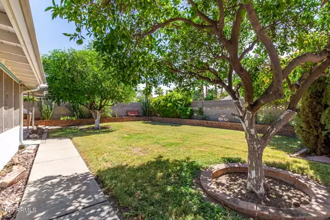 201 W Ruth Ave, Phoenix, AZ 85021 photo 45