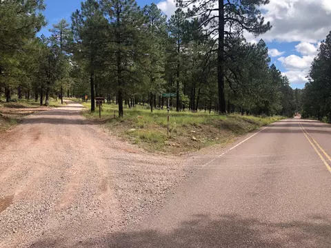 2042 E Creekside Cir #1S, Payson, AZ 85541