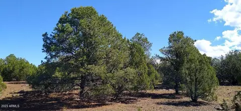 71 County Rd 8148 Parcel 1 -- #2, Concho, AZ 85924