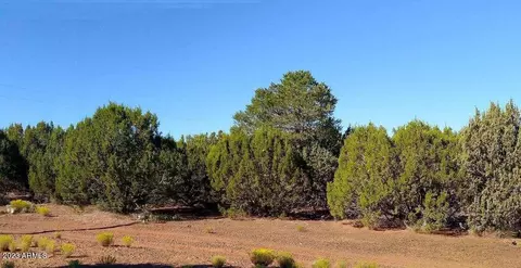71 Country Rd N8148 Parcel 4 -- #2, Show Low, AZ 85901