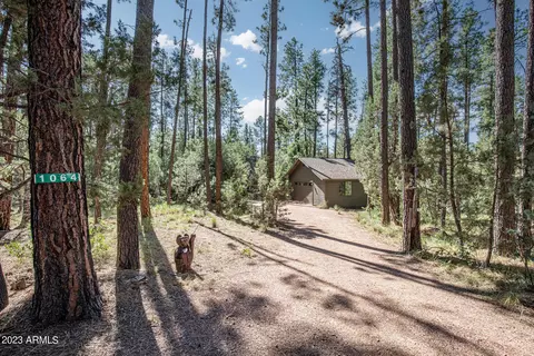 1064 E See Canyon Dr, Christopher Creek, AZ 85541