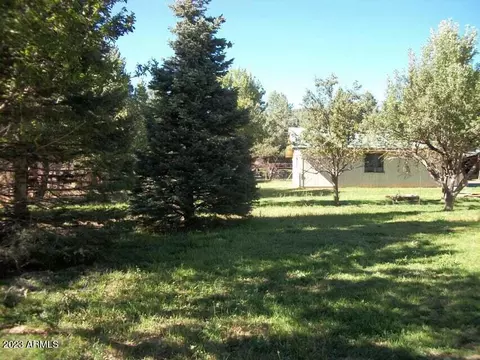 8552 W Deer Dr, Pine, AZ 85544