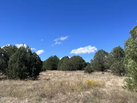 49178 N 288 Hwy #4, Young, AZ 85554