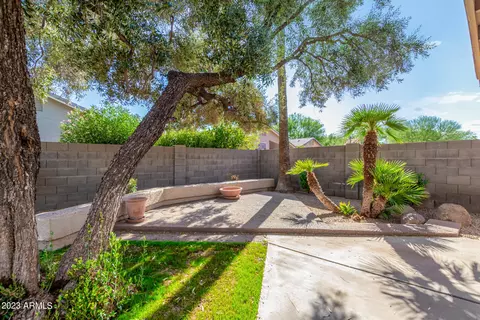 3911 E Barbarita Ave, Gilbert, AZ 85234 photo 46
