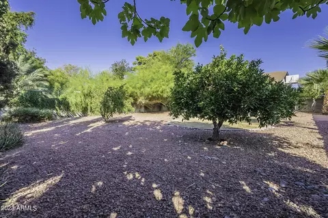 1733 W Pierson St, Phoenix, AZ 85015 photo 30