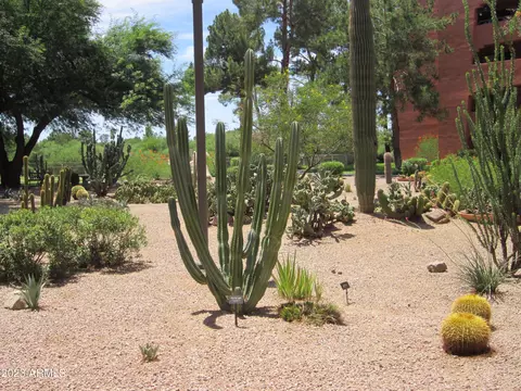 4303 E Cactus Rd #429, Phoenix, AZ 85032 photo 8