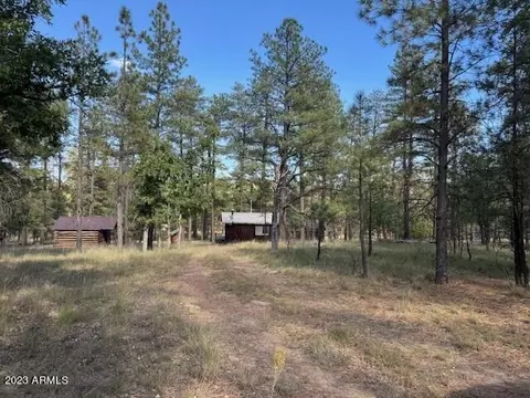 2169 Blue Ridge Dr, Happy Jack, AZ 86024