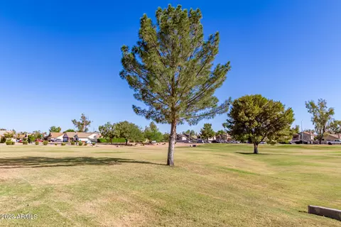 441 S Maple St #157, Mesa, AZ 85206 photo 36