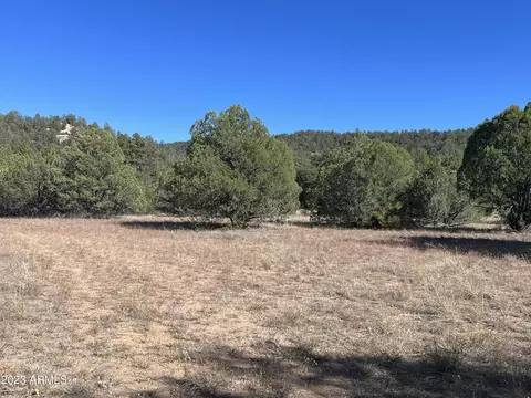 260 E Cline Xing #B1-B, Young, AZ 85554