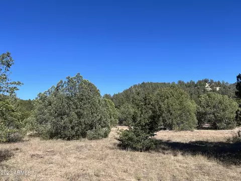 260 E Cline Xing #2, Young, AZ 85554