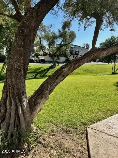 4812 E Winston Dr #3, Phoenix, AZ 85044 photo 2