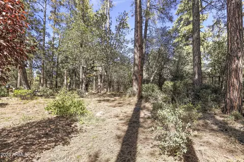 3727 N Hall Ln, Pine, AZ 85544 photo 21