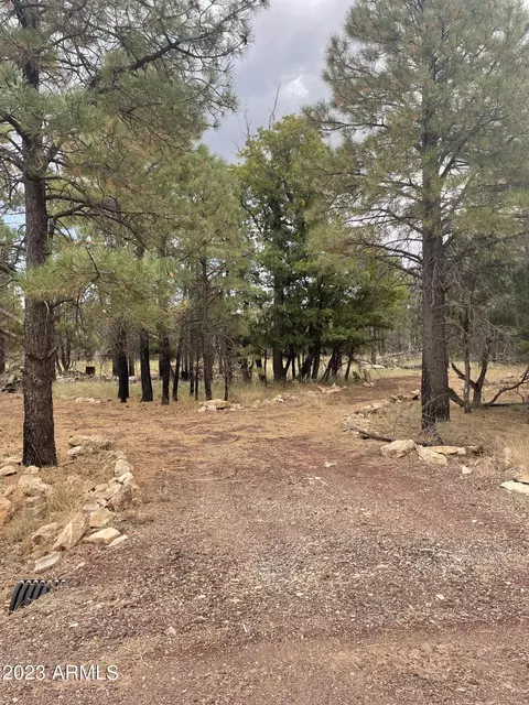1269 Green Top Dr #27, Happy Jack, AZ 86024