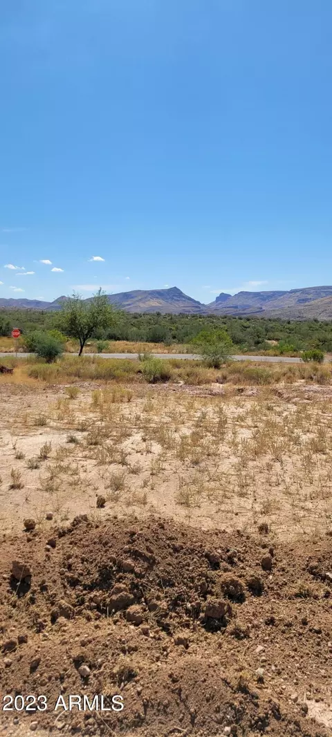 1722 S Thompson Dr #27 & 28, Superior, AZ 85173