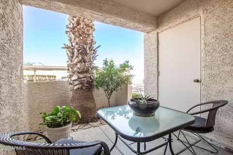 877 E Lola Dr, Phoenix, AZ 85022 photo 11