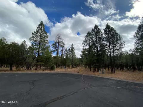 4395 Jack Pine Pl #146, Happy Jack, AZ 86024