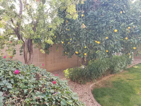 4301 E Siesta Ln, Phoenix, AZ 85050 photo 113