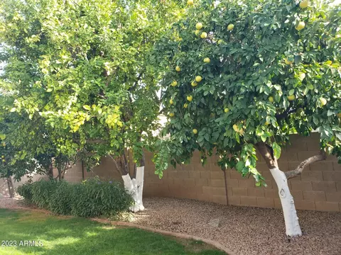 4301 E Siesta Ln, Phoenix, AZ 85050 photo 118