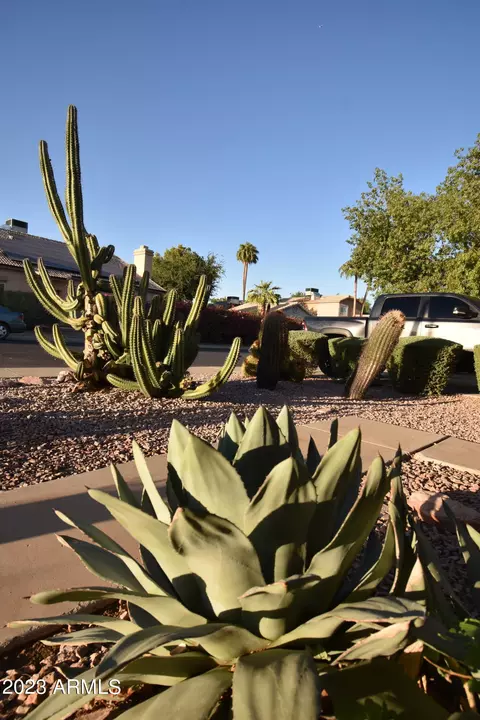 4301 E Siesta Ln, Phoenix, AZ 85050 photo 107