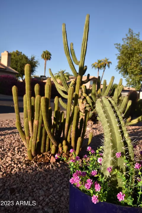 4301 E Siesta Ln, Phoenix, AZ 85050 photo 106