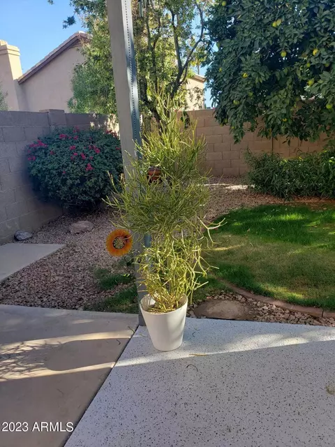 4301 E Siesta Ln, Phoenix, AZ 85050 photo 116