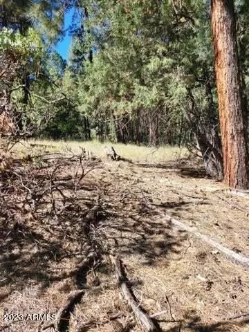 lot9 Walnut Gln #9, Strawberry, AZ 85544