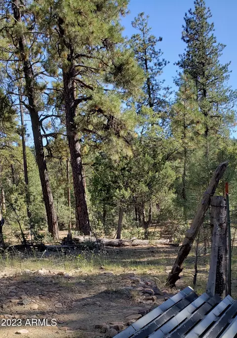 155 E Nail Ranch Rd #-, Young, AZ 85554