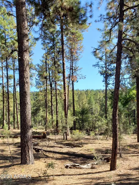 155 E Nail Ranch Rd #-, Young, AZ 85554 photo 6